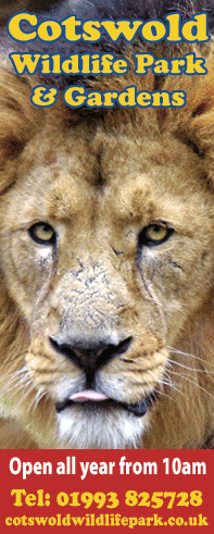Cotswold Wildlife Park