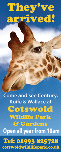 Cotswold Wildlife Park
