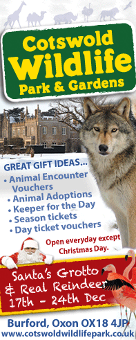 Cotswold Wildlife Park Xmas