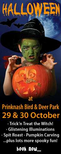 Prinknash Bird Park