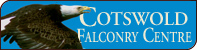 Cotwold Falconry