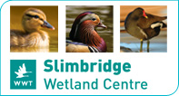 WWT Slimbridge