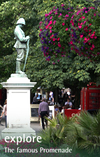 Explore Cheltenham