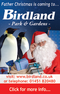 Explore Christmas Advertisers