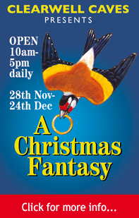 Explore Christmas Advertisers