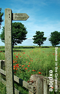 Explore the Cotswolds