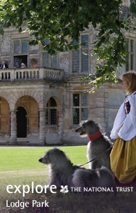 Explore the Cotswolds
