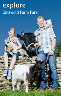 Explore the Cotswolds