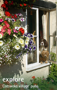 Explore the Cotswolds