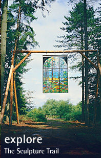 Explore the Forest of Dean