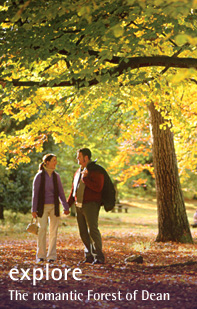 Explore the Forest of Dean