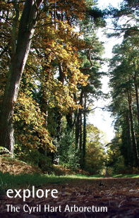Explore the Forest of Dean