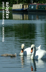 Explore Severn Vale