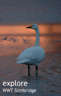 Explore Severn Vale