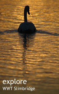 Explore Severn Vale