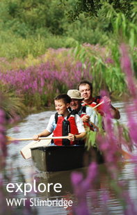 Explore Severn Vale