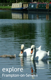 Explore Severn Vale