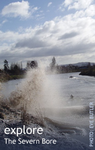 Explore Severn Vale
