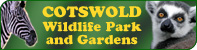 Click to find out more