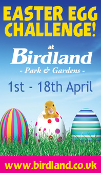 Birdland