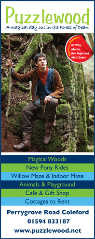 Puzzlewood