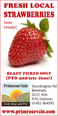 Primrosevale
