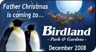 BUrdland