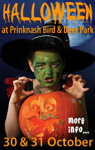 Prinknash Bird Park