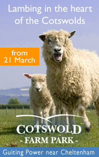 Cotswold Farm Park