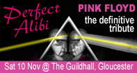 Perfect Alibi