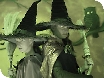 Witch hunt in Gloucestershire