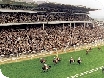 Cheltenham Racing