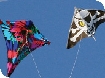 One Sky One World Kite Day 2008