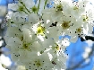 Easter events in the Cotswolds