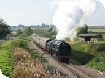 Wildlife and Steam