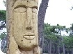 Events at Westonbirt