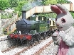 Easter Bunny hunt at DFR