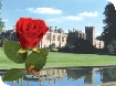 Events at Sudeley Castle