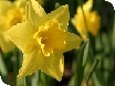 Events in the Cotswolds