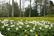 Events at Westonbirt