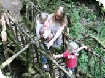 Easter events in the Forest of Dean