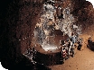 Events in the Forest of Dean