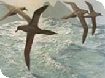 Events at Nature in Art
