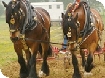 Events in Gloucester 2008