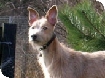 Events at Taurus Crafts