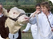 Moreton Show 2008