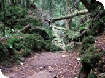 Halloween events in the Forest of Dean 2008