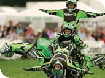 The Cotswold Show 2009
