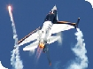 RIAT 2009