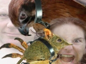 Click to find out more